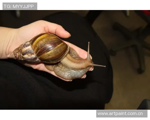 《探索篮网队的鲜为人知的秘密:十大冷知识大揭秘》 《探索篮网队的鲜为人知的秘密:十大冷知识大揭秘》