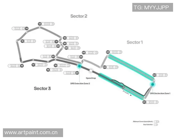 F1赛季赛道特性分析与车队策略调整对比赛成绩的影响