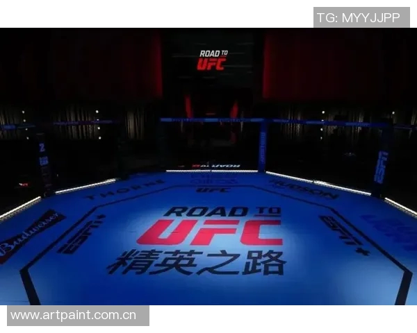 MMA格斗之夜:KO瞬间集锦 MMA格斗之夜:KO瞬间集锦